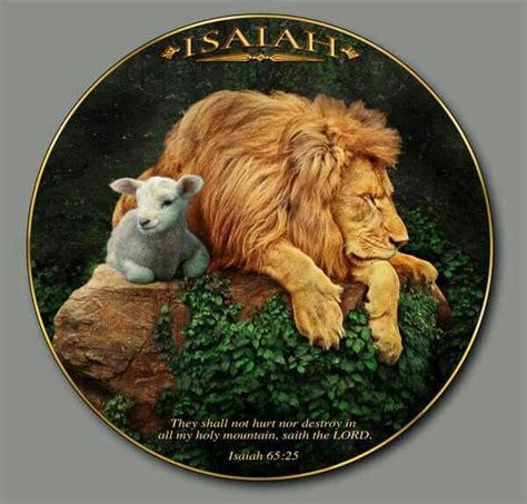 Pin By Bridgette Wright On Isaiah Isaiah 65 Lion And Lamb Book Of