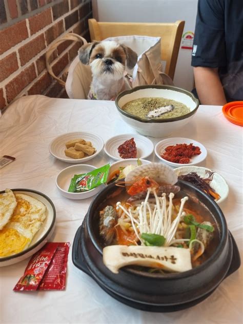 강원도 속초 애견동반식당 바람꽃 해녀마을 강아지동반석 따로 있는 속초 맛집 네이버 블로그