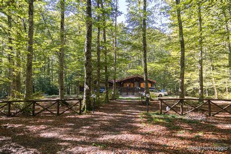 Dormire In Un Rifugio Nel Bosco Con I Bambini All Arremviaggio