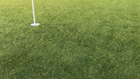 6 Grass Types Every Golfer Should Know And How Each Affects Your Game