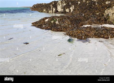 Eriskay beach hi-res stock photography and images - Alamy