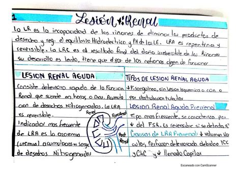 Lesión Renal StudyMed jm uDocz