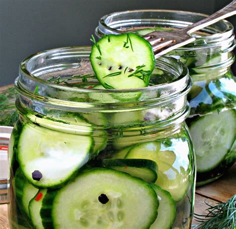 Easy Refrigerator Dill Pickles Recipe No Canning Process A Gouda Life