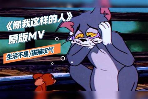 猫和老鼠生活不易猫猫叹气这才是正宗的原版MV 猫猫 原版 生活