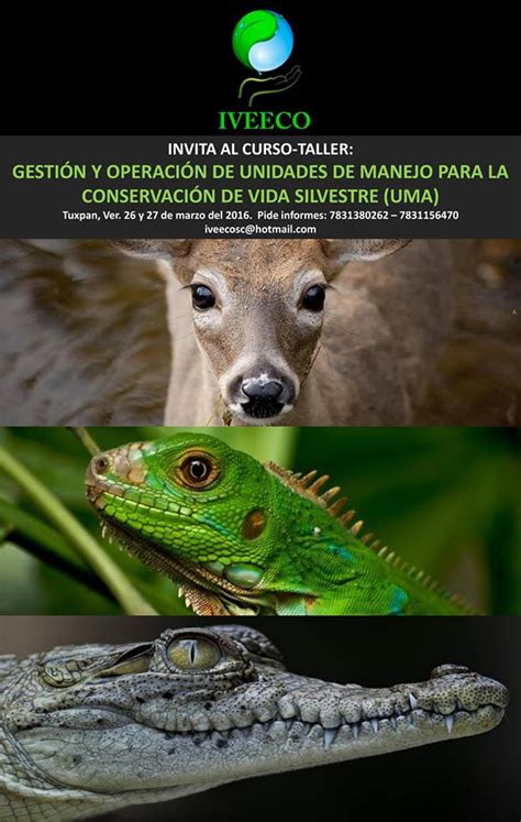 Gesti N Y Operacion De Unidades De Manejo Para La Conservaci N De Vida