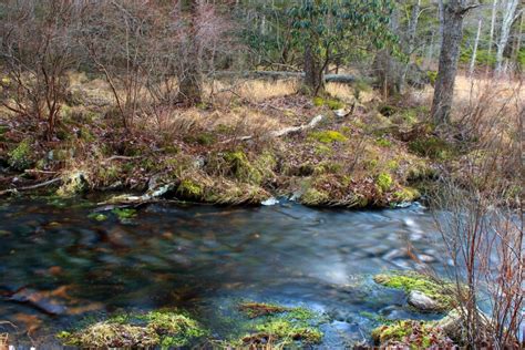 Imagen gratis pantano Río agua paisaje naturaleza corriente