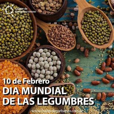 D A Mundial De Las Legumbres Cl Ster De Garbanzo De La