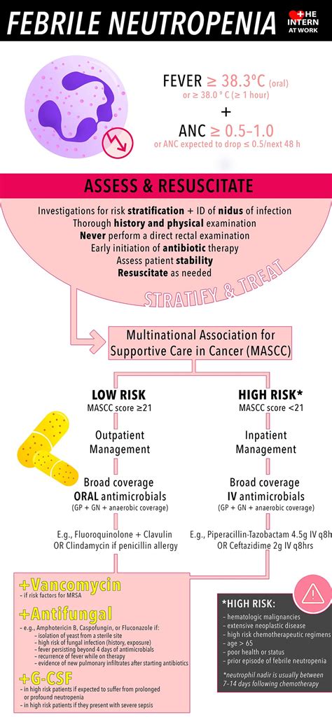 Febrile Neutropenia Infographic Infographics