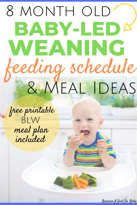 Month Old Baby Led Weaning Meal Ideas Feeding Schedule Artofit