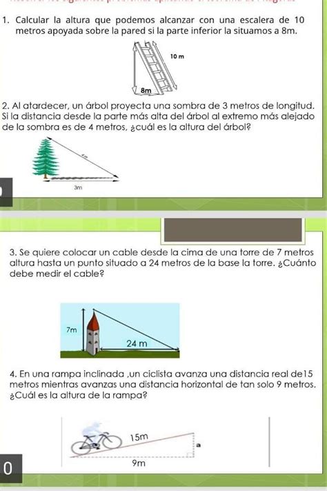 Al Atardecer Un Rbol Proyecta Una Sombra De M De Longitud Si La