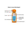 Dewar Or Vacuum Flask Fully Diagram Royalty Free Vector