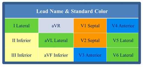 12 Lead Ecg Circuit Diagram Datasheet