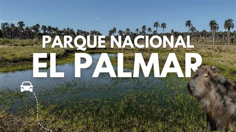 El Paraíso Natural de El Palmar Un paseo por el Parque Nacional YouTube