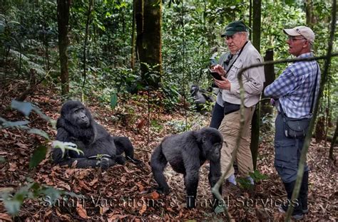 Days Gorillas And Wildlife Viewing Safari Safari Vacations Travel