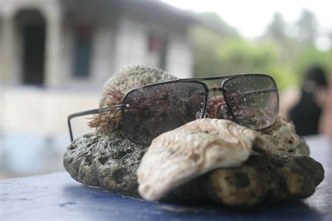 Rock The Shades~~ Glasses Rock Sunglasses