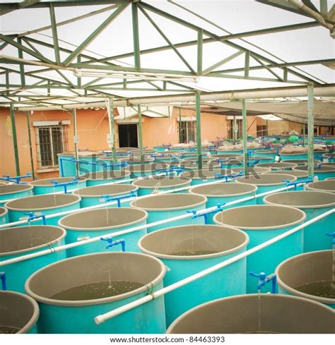 Agriculture Aquaculture Water System Farm Stock Photo Edit Now 84463393