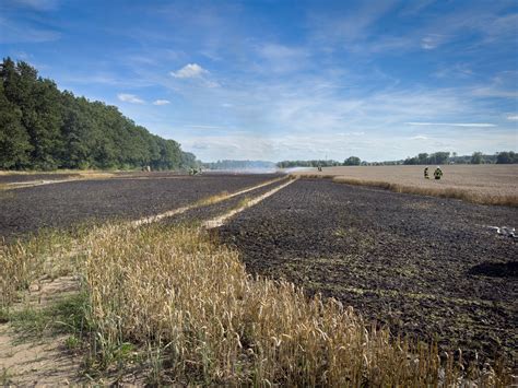 Brannten rund 7 500 m² Getreidefeld Freiwillige Feuerwehr Buchholz in