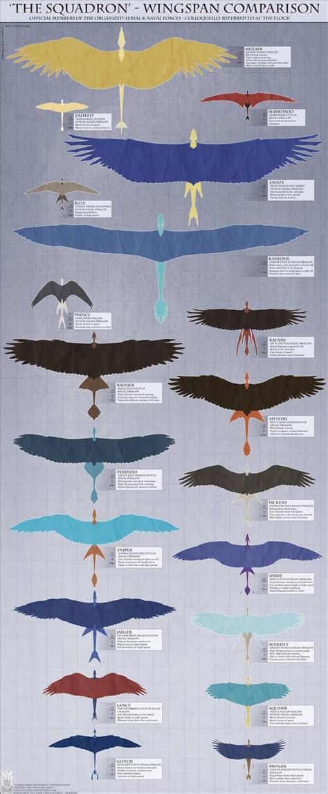 Personal - Wingspan Comparison Reference by TwilightSaint on DeviantArt ...