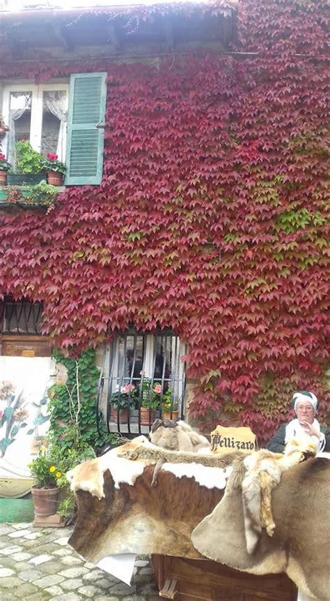 Foliage Rimini 5 Luoghi Dove Ammirare I Colori Dell Autunno FOTO