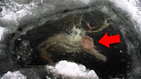 12 Scariest Things Found Frozen In Ice YouTube