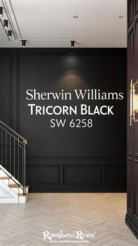 Sherwin Williams Tricorn Black 6258 2025 [The New Regal?] | Paint ...