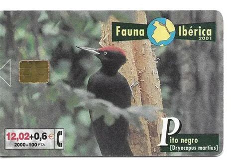 RARE CARTE Telephonique Oiseau Bird Pic Noir Phonecard Telephone