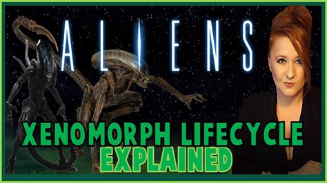 Xenomorph Life-cycle Explained: ALIENS - YouTube