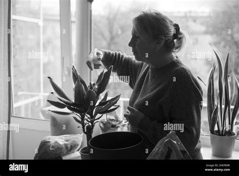 Woman Taking Care Of Plants Spraying A Plant With Pure Water From A