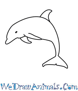 How To Draw A Dolphin