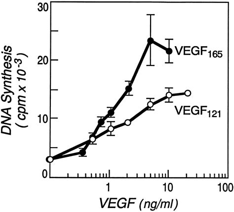 Inhibition Of Vascular Endothelial Growth Factor Vegf Induced