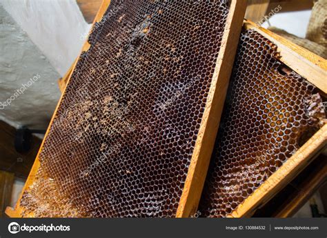 Bee Honeycomb Frame With Honey Stock Photo By LaKirr 130884532