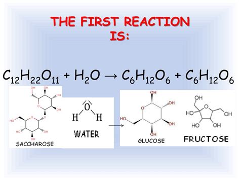 PPT - ALCOHOLIC FERMENTATION PowerPoint Presentation, free download - ID:4945643