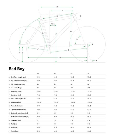 Cannondale Mtb Size Chart Lupon Gov Ph