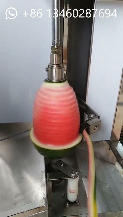 Hot Sale Taro Peeling Machinemelon Peeling Machinewatermelon Peeler