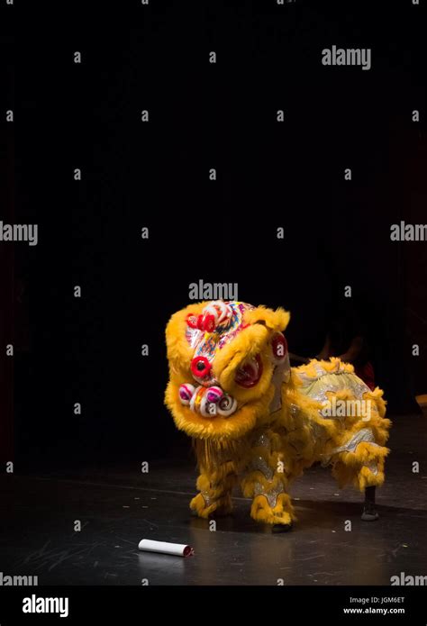 Dragon Dance Performance At Uc Davis Stock Photo Alamy