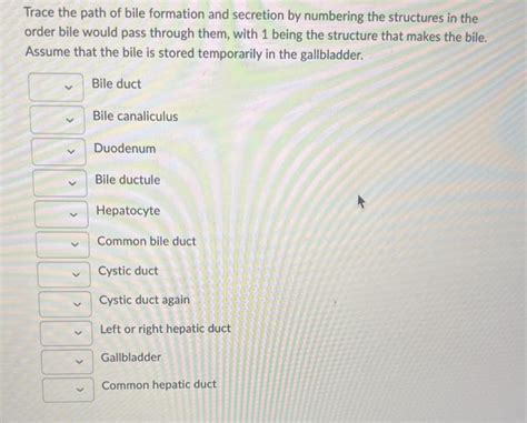 Solved Trace the path of bile formation and secretion by | Chegg.com