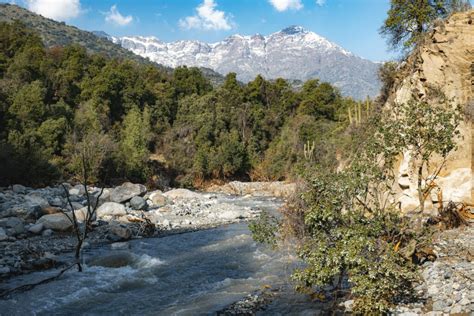 OPINIÓN Ley para la Naturaleza una oportunidad para reconectar con