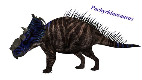 Pachyrhinosaurus by ultamateterex2 on DeviantArt