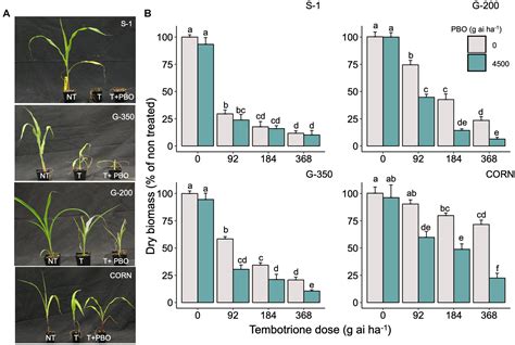 Frontiers Characterization Genetic Analyses And Identification Of