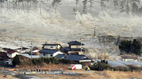 Cad Ver De Mulher Desaparecida No Tsunami De Fukushima Encontrado