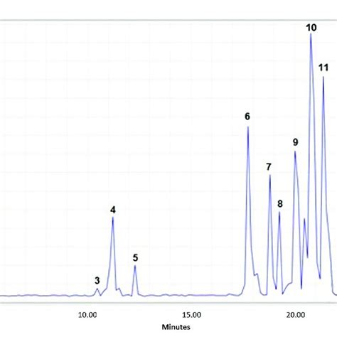 Uhplc Esi Ms Qtof Chromatogram Of The B Pilosa Leaf Ethanolic Extract