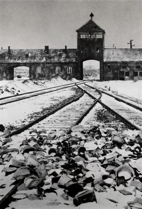 Reportajes Y Fotograf As De Auschwitz En National Geographic Historia