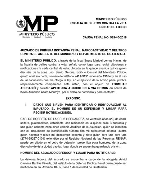 Modelo De Acusación Delito De Homicidio Pdf Derecho Penal Ley