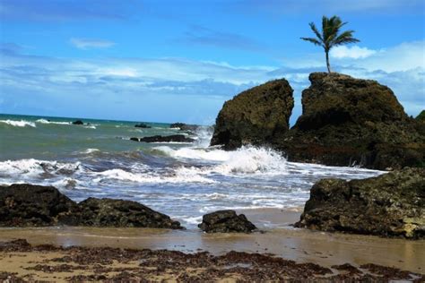 Conheça Tambaba a única praia de naturismo do Nordeste