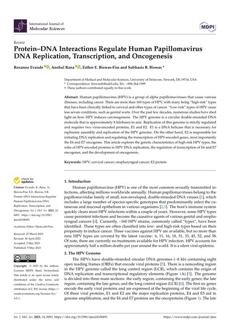 Pdf Proteindna Interactions Regulate Human Papillomavirus Dna