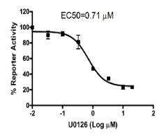 Sre Reporter Kit Mapk Erk Signaling Pathway