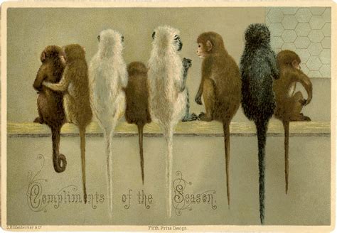 Vintage Christmas Monkey Image! - The Graphics Fairy