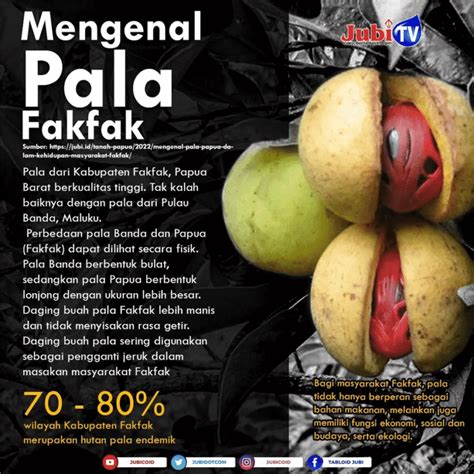 Infografis Mengenal Pala Fakfak JUBI TV