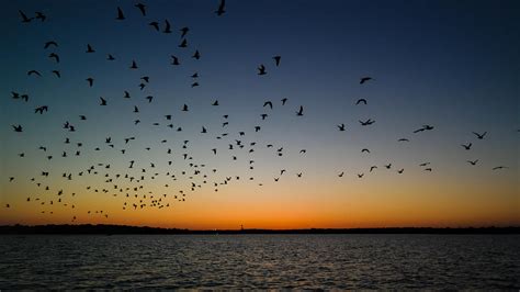 Flyover Photograph By Lance Kenyon Fine Art America