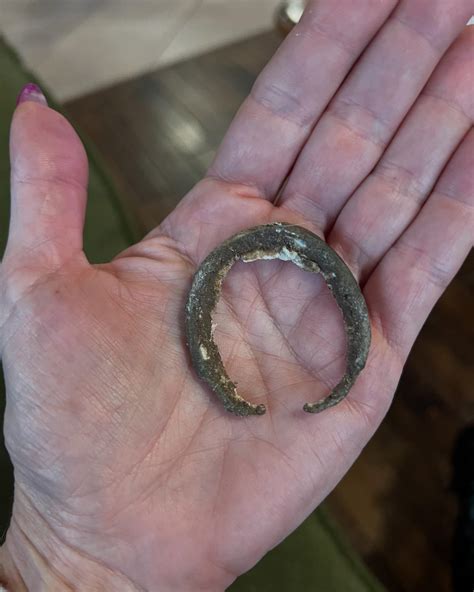 Lara Semmelmann (@piggiesdoggiesandponiesohmy) • Instagram photos and